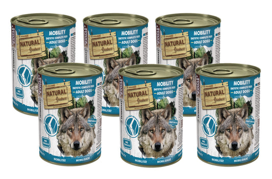 NATURAL GREATNESS Mobility/Gelenkprobleme und Osteoarthritis (Set)