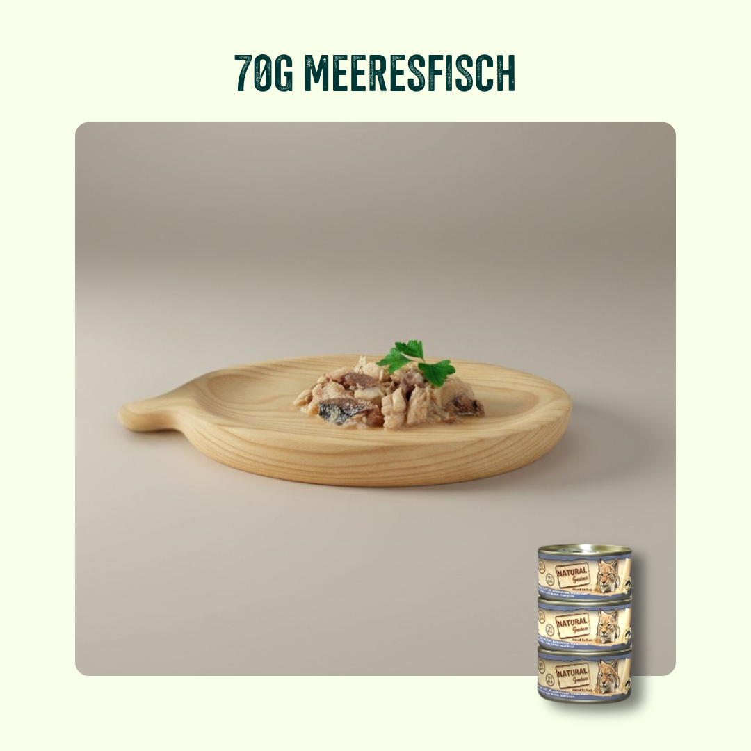 Kastrierte & Senior Katze Probierpaket