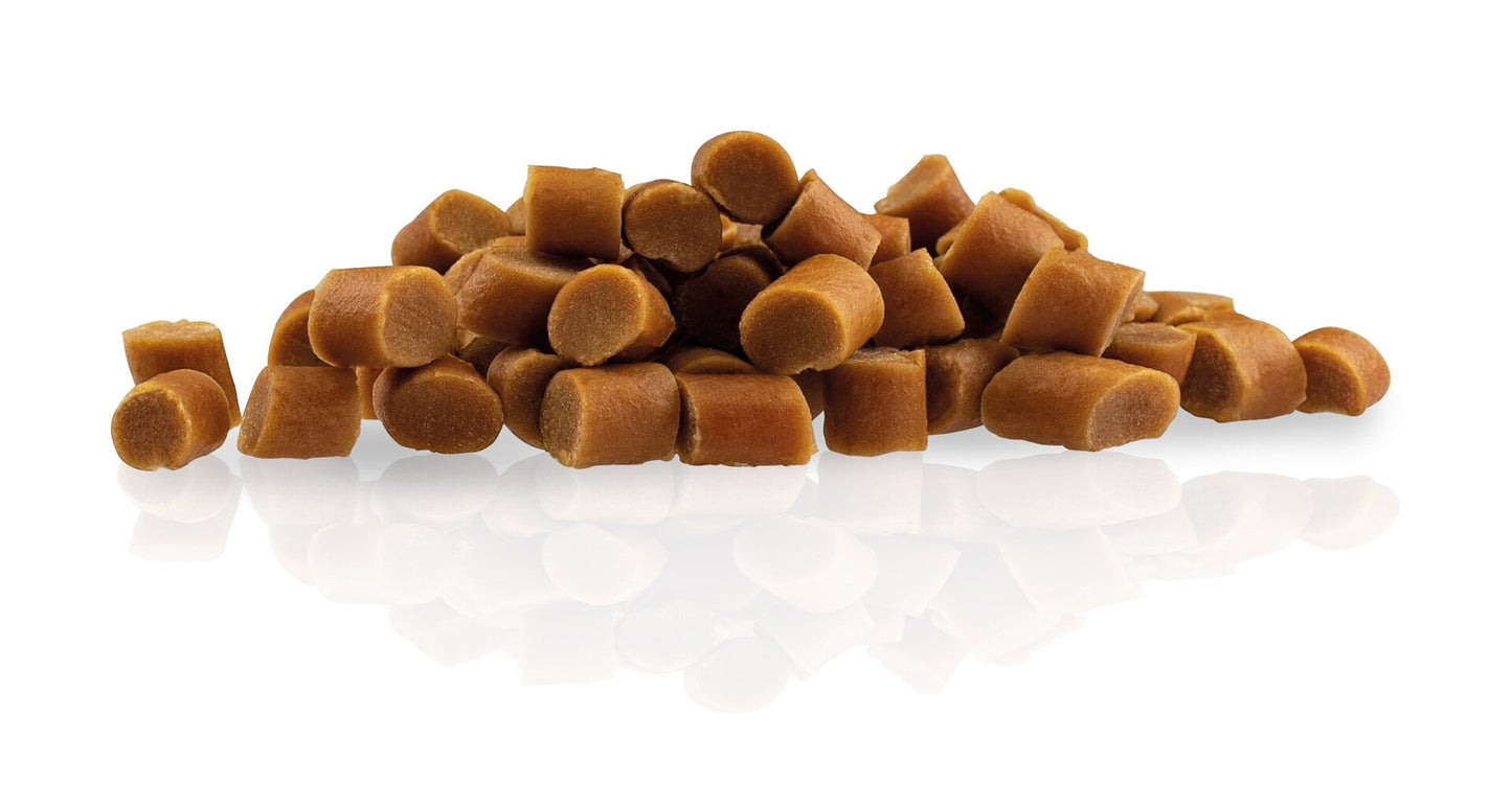 Agility GO - Hasenbricks