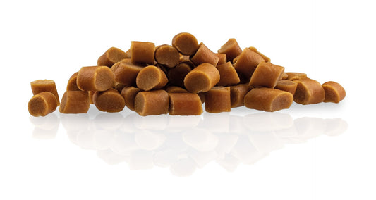 Agility GO - Hasenbricks