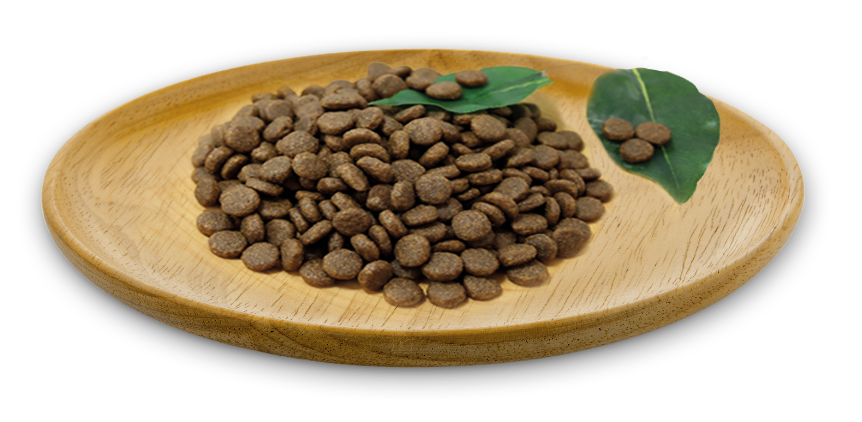 NATURAL GREATNESS "Wild Instinct" / Ultra Premium - Erwachsene / Kätzchen - Mittel & grosse Rassen