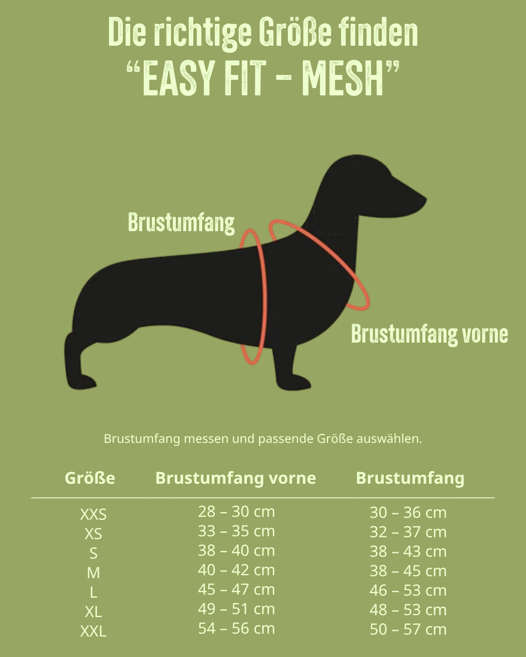 Größentabelle für TRE PONTI Easy Fit – Verstellbarer Riemen, "MESH"