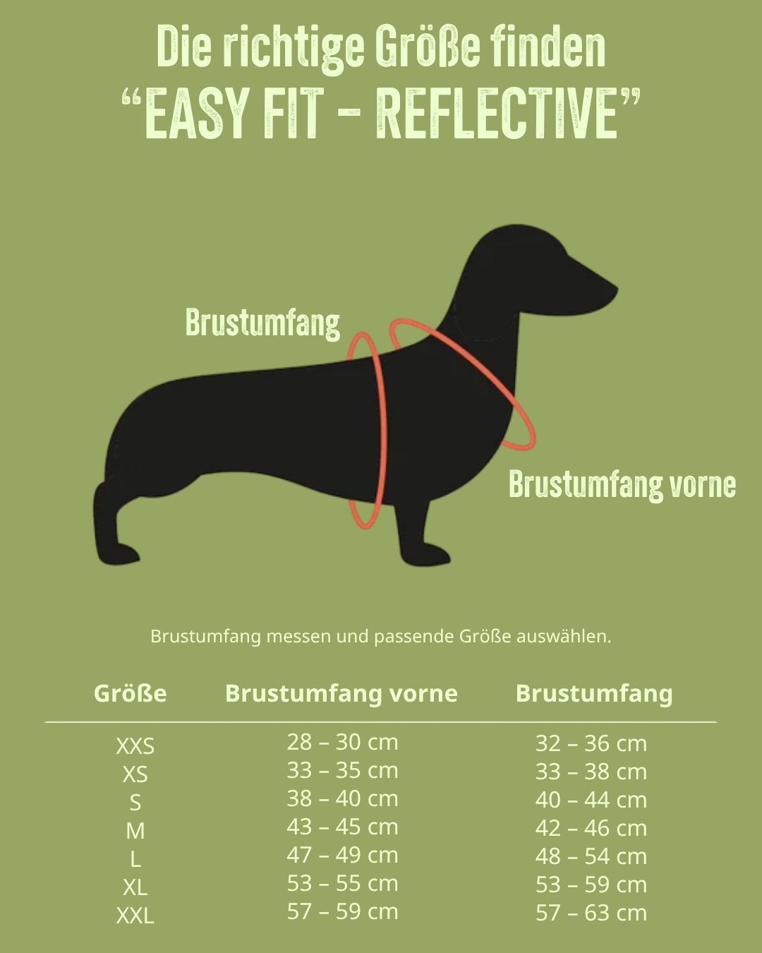 Größentabelle für TRE PONTI Easy Fit – Verstellbarer Riemen, "REFLECTIVE"