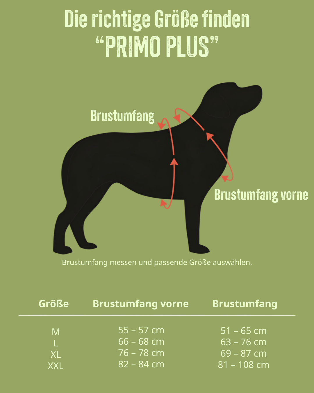 Größentabelle für TRE PONTI "Primo PLUS" – Verstellbarer Riemen