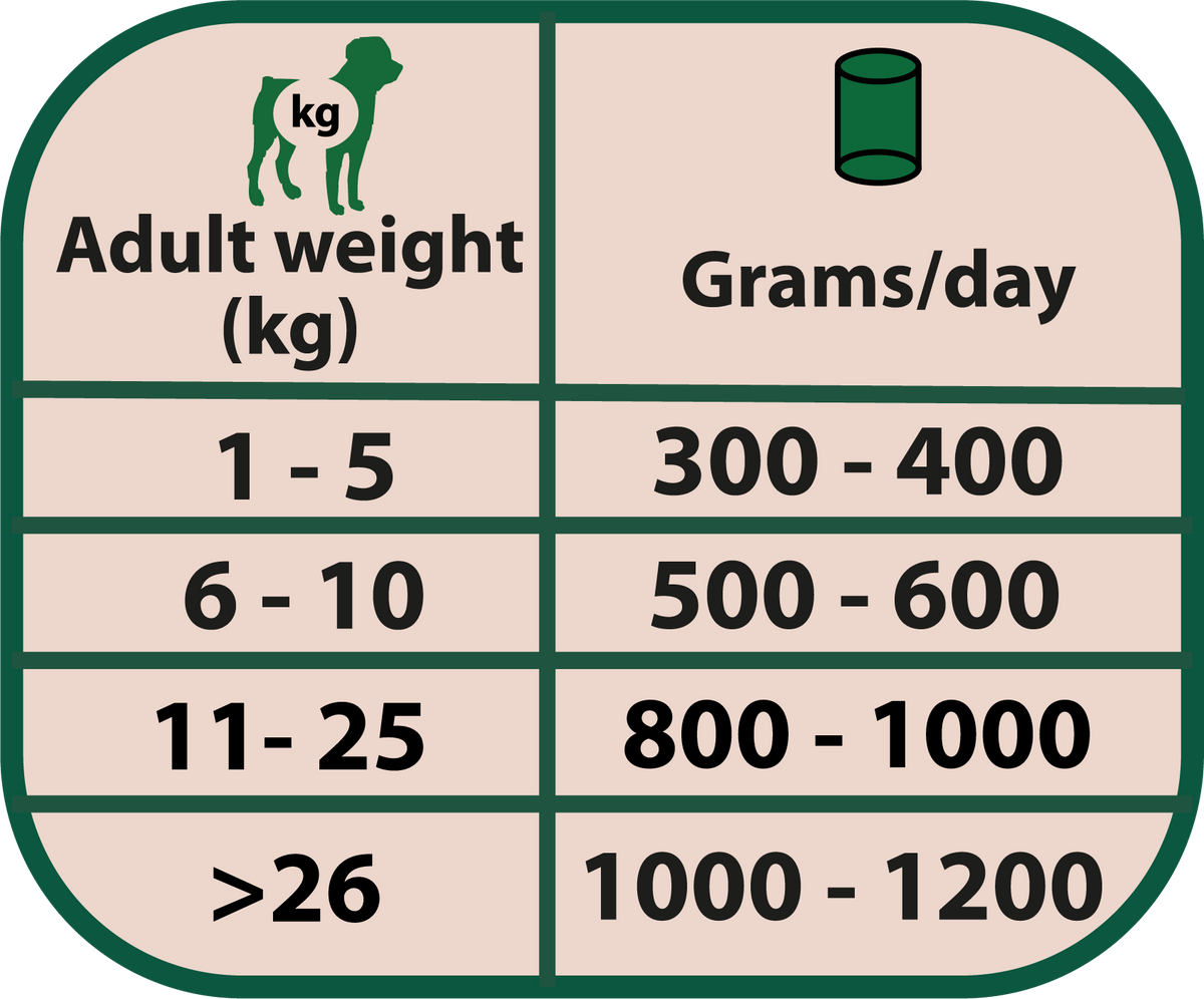 Fütterungsempfehlung für NATURAL GREATNESS Lamm Monoprotein (Set)