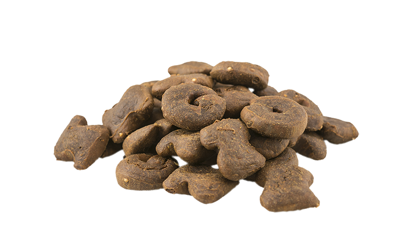 NATURAL GREATNESS Leckerlie, im Ofen gebacken, zur Verdauungsunterstützung, 100g (Truthahn, Kürbis, Süsskartoffel, Quinoa)