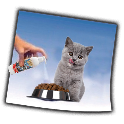 NATURAL GREATNESS Lachsöl / Hunde & Katzen