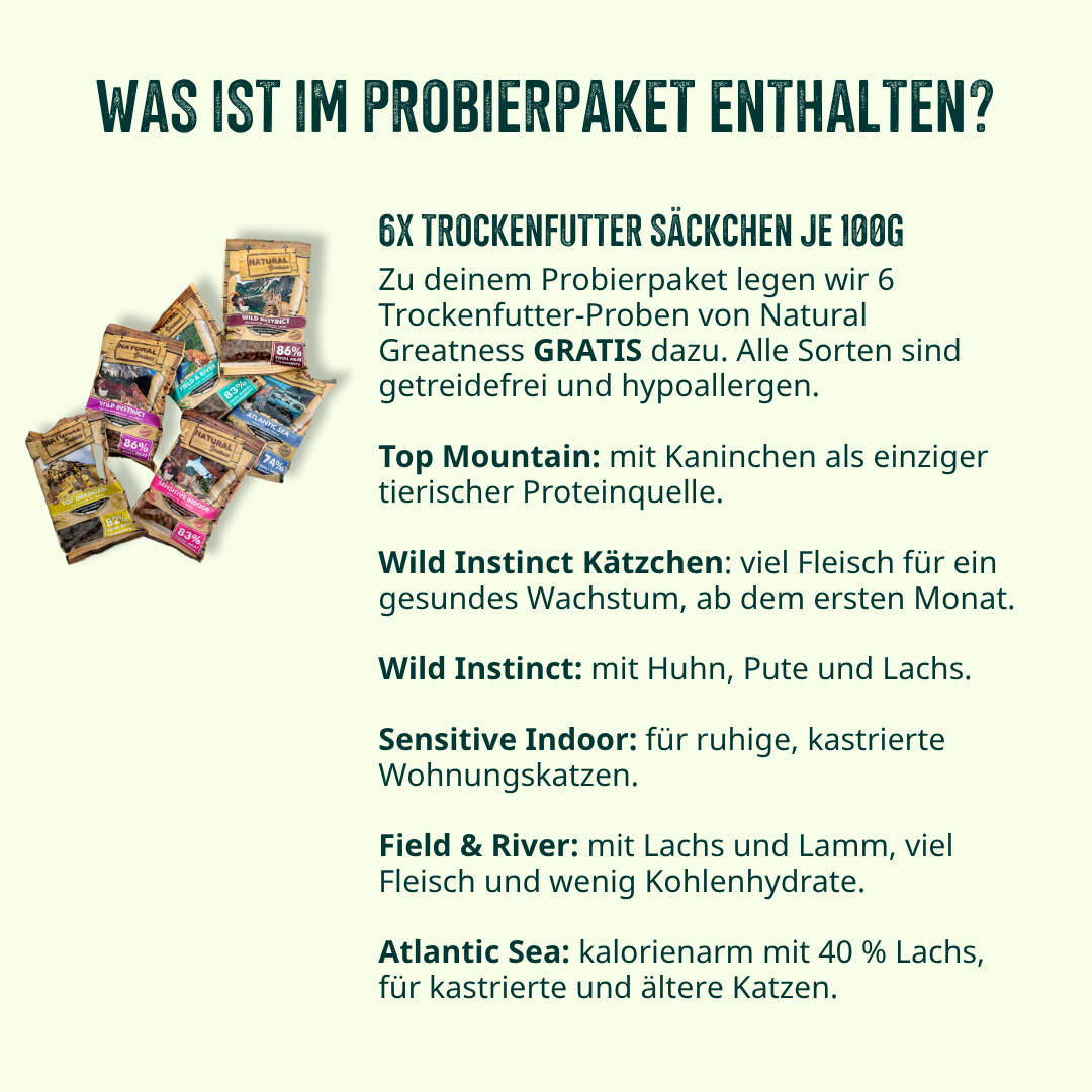 Kitten Probierpaket