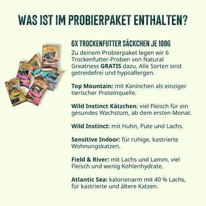 Kitten Probierpaket